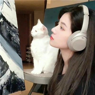 剧情经典