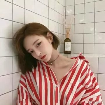 狗的审判